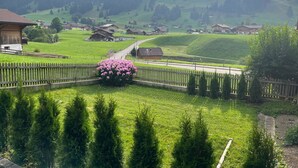 A rural landscape with a road leading through a green field, surrounded by houses and mountains in the background. - Flott Appartement/Fewo, Dusche und Bad, WC, 1 Schlafraum 2.5-Zimmerwohnung by Interhome (Adelboden)