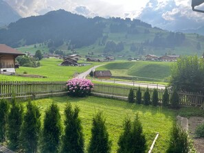 Ländliche Landschaft mit einer Straße, die durch ein grünes Feld führt, umgeben von Häusern und Bergen im Hintergrund.
