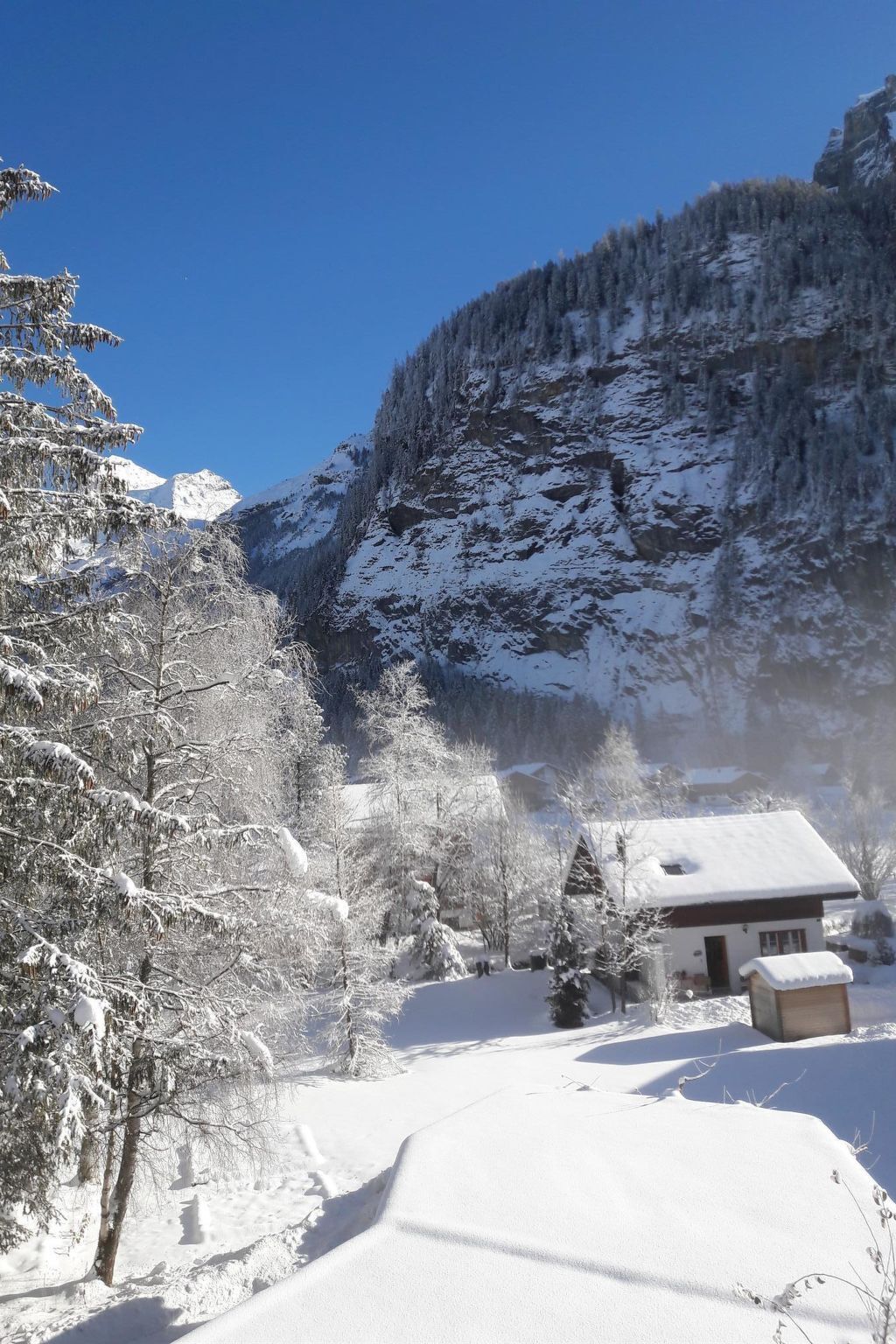 A snow-covered mountain landscape with a small house and trees.