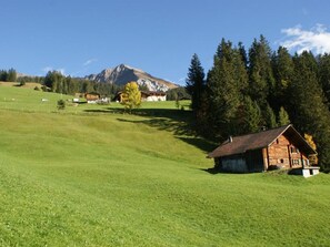 Paisagem rural com uma cabana de madeira, uma montanha ao fundo e céu claro.