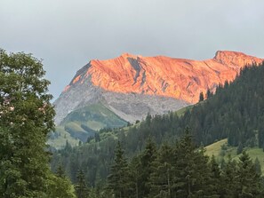A mountain with a forested foreground and a clear sky. - Schermtanne Appartement/Fewo, Dusche oder Bad, WC, 2 Schlafräume Wohnung Nr 1 by Interhome (Adelboden)
