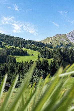 A mountainous landscape with a clear sky, dense forests, and a small building in the foreground. - Schermtanne Appartement/Fewo, Dusche oder Bad, WC, 2 Schlafräume Wohnung Nr 1 by Interhome (Adelboden)