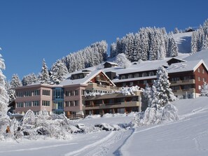 Exterior - Ferien- und Familienhotel Alpina Familienzimmer, Dusche, WC, Standard by Interhome (Adelboden)
