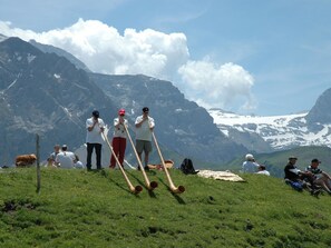 A group of people on a grassy hill with mountains in the background. - Bärgchutzli Parterre Appartement/Fewo, Dusche, WC, 1 Schlafraum by Interhome (Adelboden)