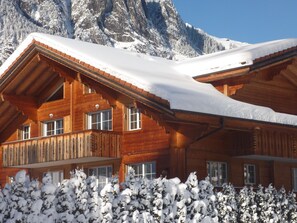 A wooden chalet with a sloped roof, surrounded by snow-covered trees and mountains in the background.