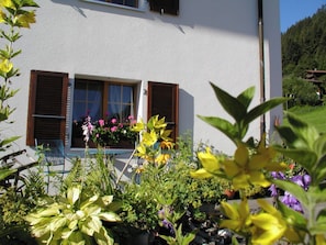 Ein weißes Gebäude mit zwei Fenstern und Holzklappläden, umgeben von verschiedenen Blumentöpfen und Blumen.