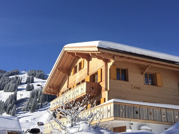 Unclassified image, 1 of 21, button - Butterfly Appartement/Fewo, Bad, WC, 3 Schlafräume 4-Zimmerwohnung by Interhome (Adelboden)