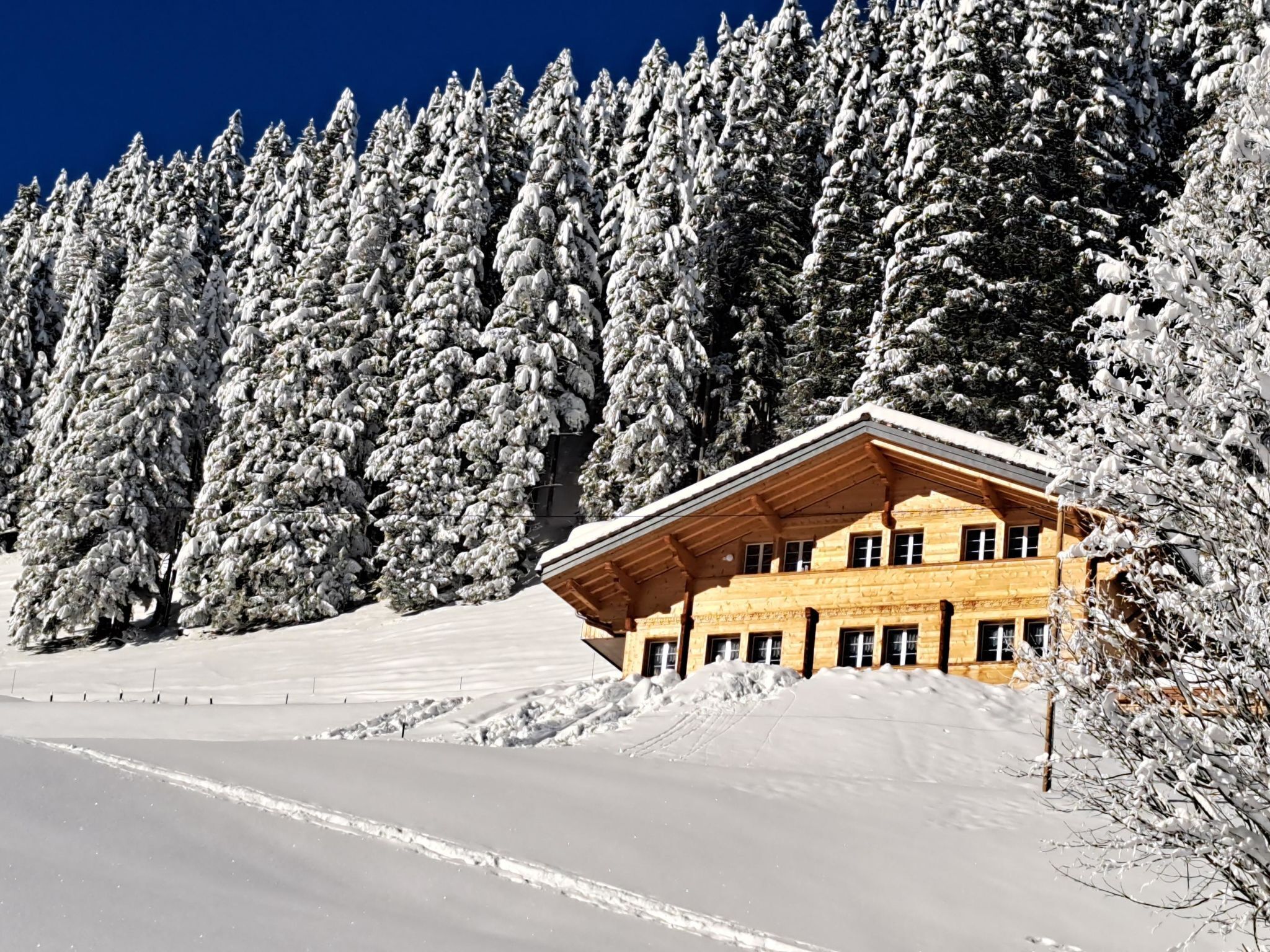 Eine Holzhütte mit geneigtem Dach, umgeben von schneebedeckten Bäumen und wolkenlosem Himmel.