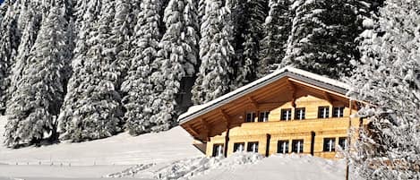 Een houten chalet met een schuin dak, omgeven door sneeuwbedekte bomen en een heldere lucht.