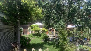 A garden with various plants and a tree. - Gartenstudio "Belle Vue" Appartement/Fewo, Bad, WC, 1 Schlafraum by Interhome (Frutigen)