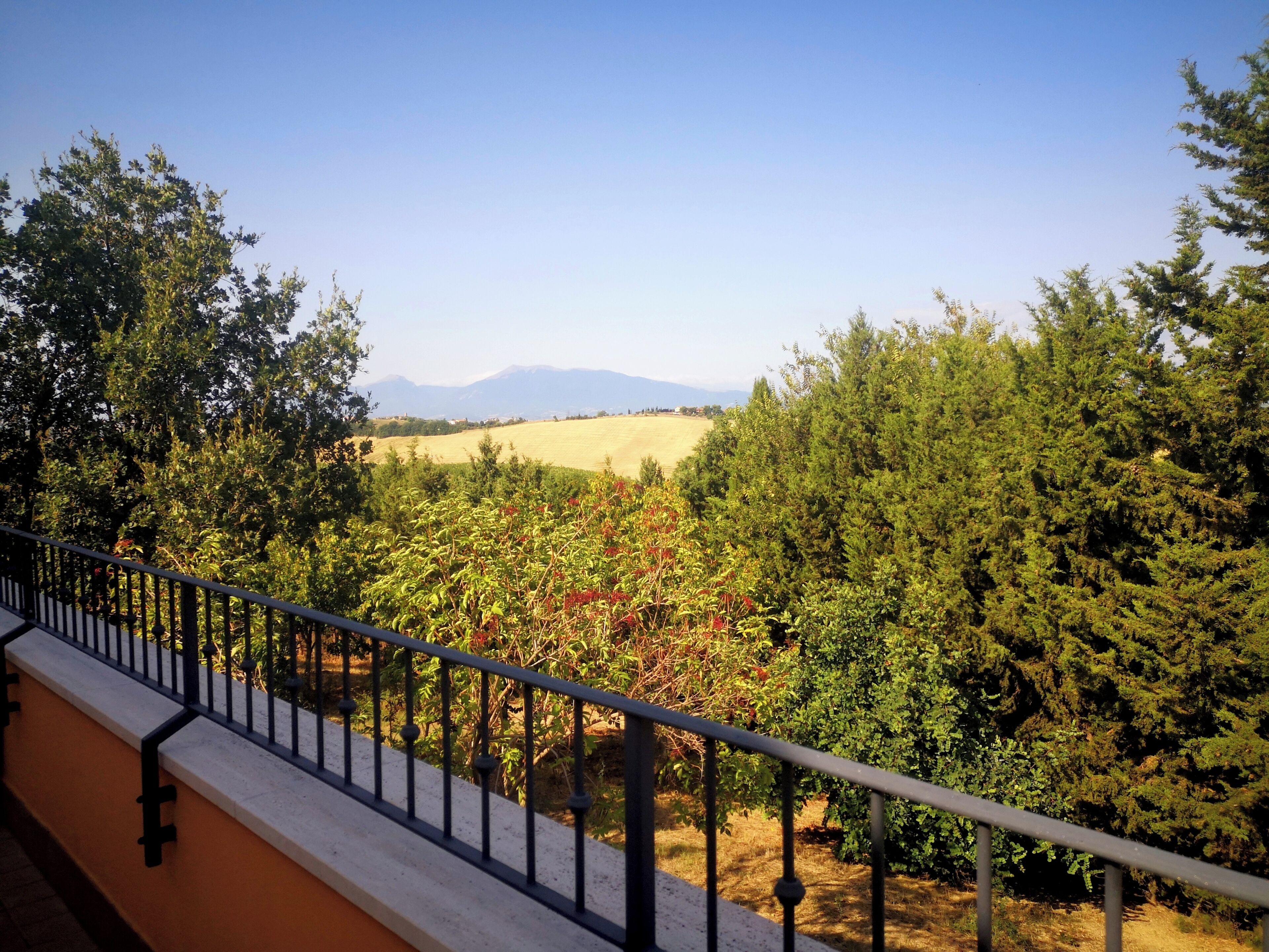 Un balcone con vista su un vigneto e montagne in lontananza.