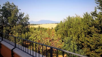 Un balcone con vista su un vigneto e montagne in lontananza.