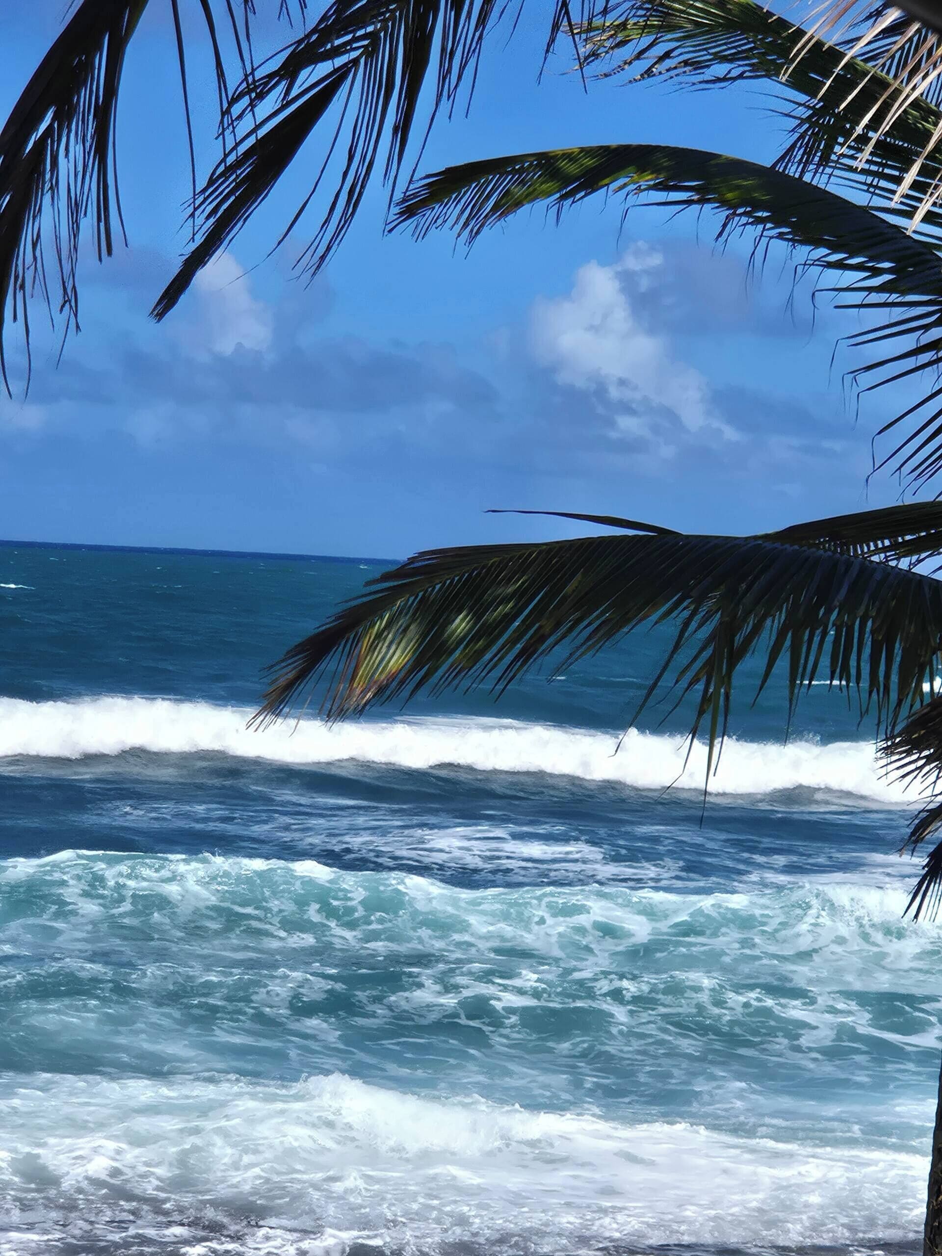 Beach nearby, beach towels, 4 beach bars