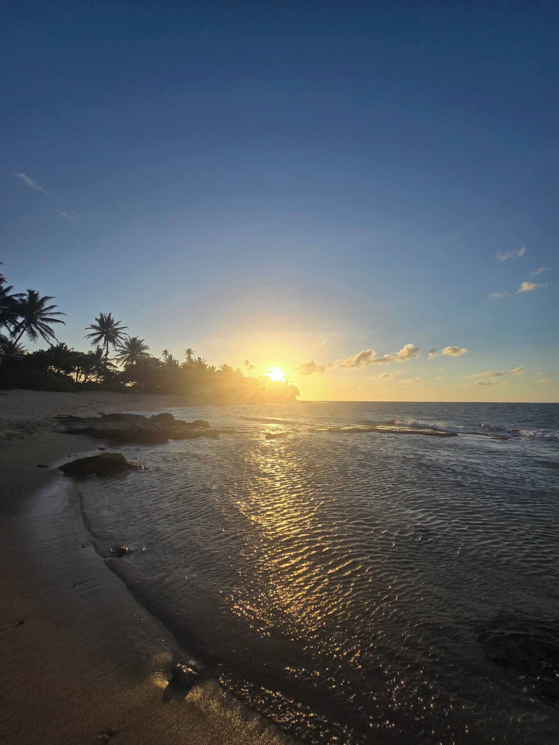 A beach with a sunset, palm trees, and calm waves.