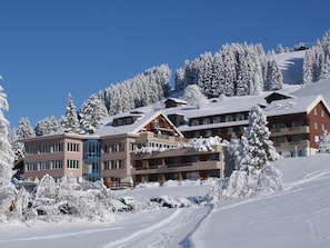 Exterior - Ferien- und Familienhotel Alpina Doppelzimmer, Dusche, WC, Standard by Interhome (Adelboden)