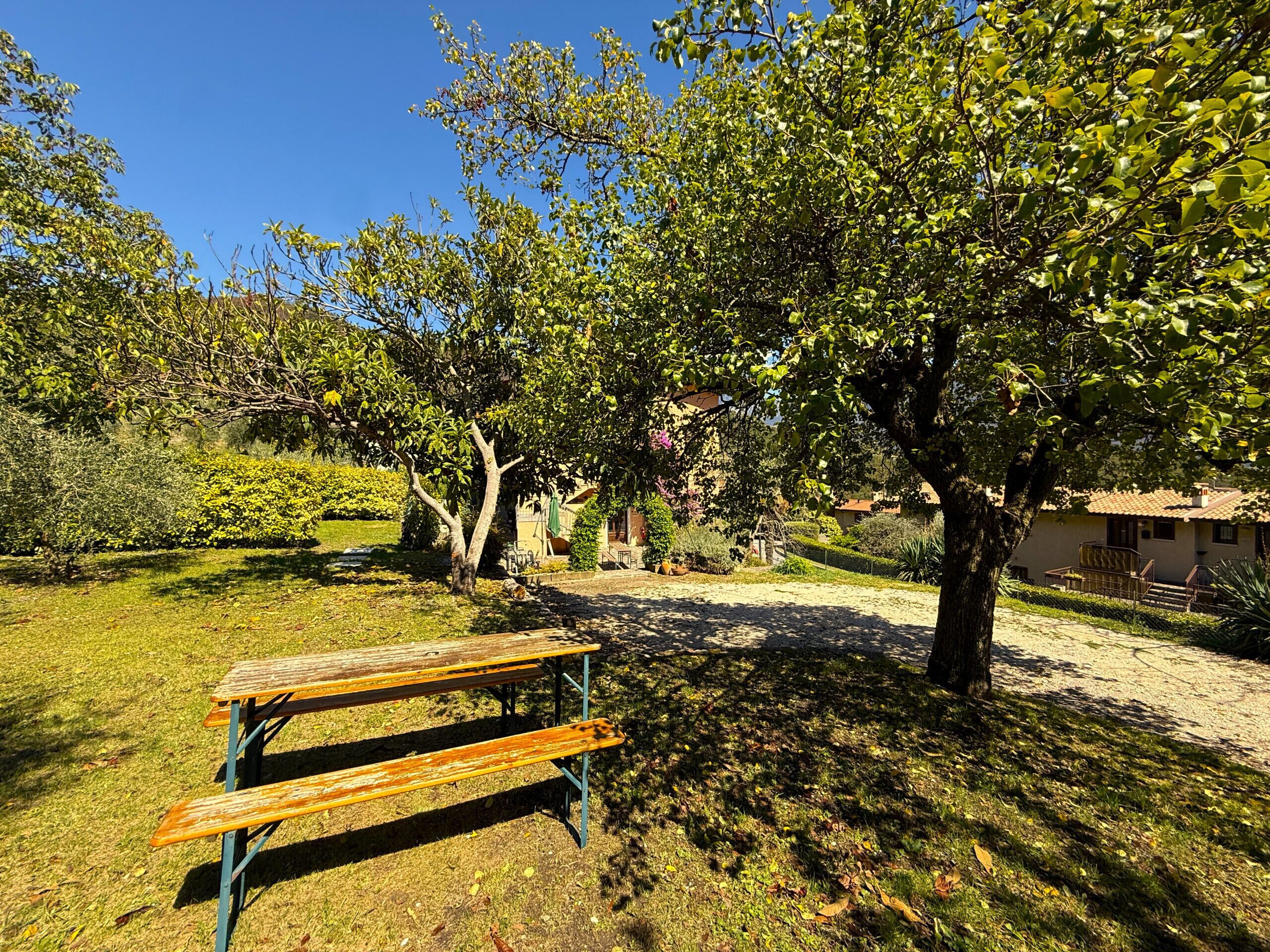Mesa de piquenique em ambiente externo ensolarado, com árvores e um edifício ao fundo.