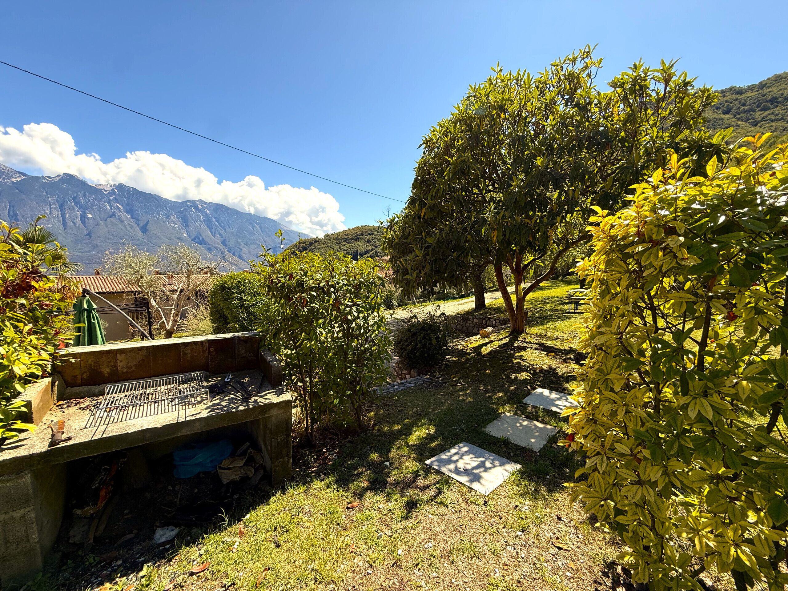 A garden with a stone bench, a small tree, and a stone pathway.