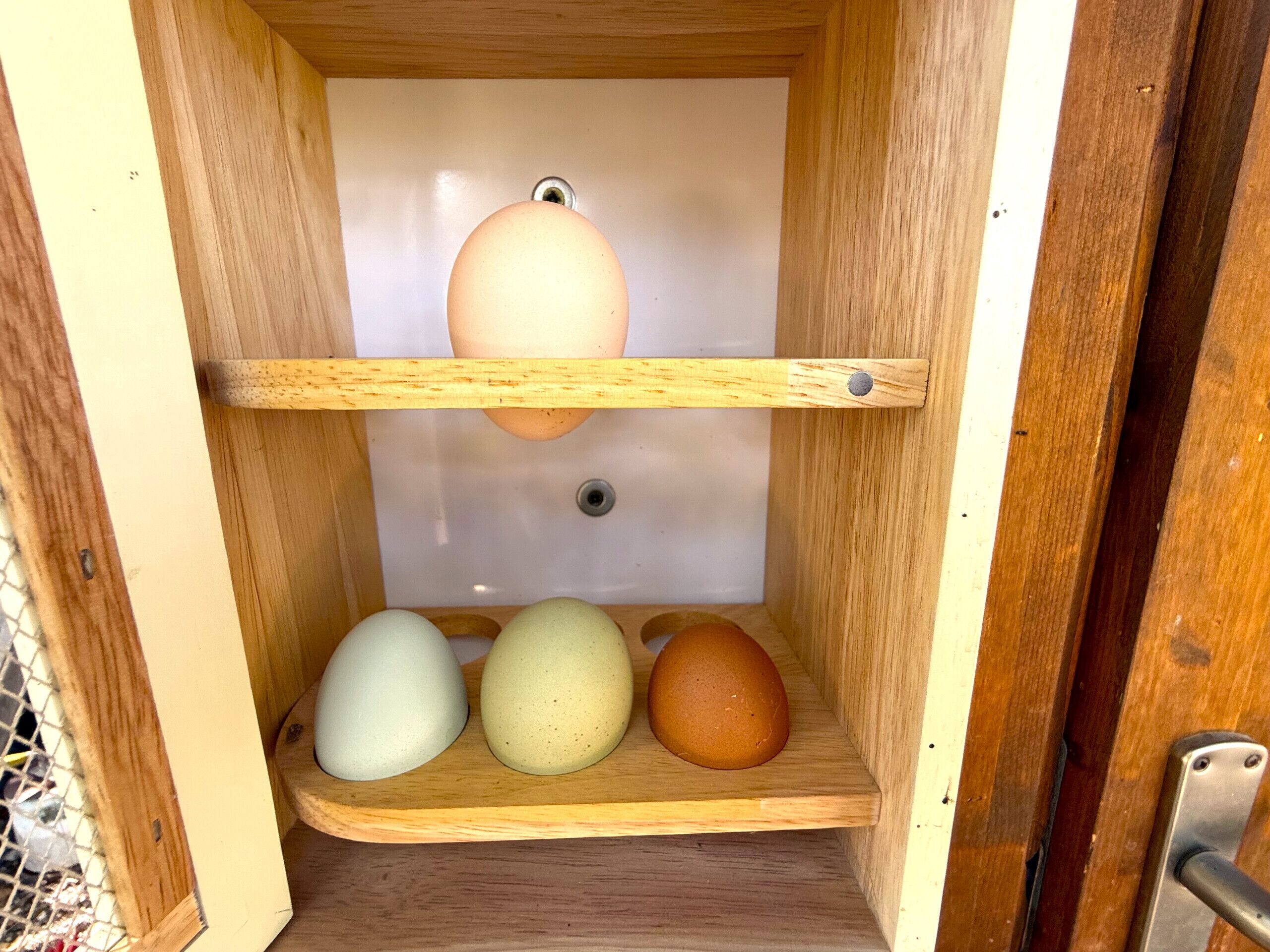 Un meuble en bois doté de trois étagères, chacune contenant un œuf.