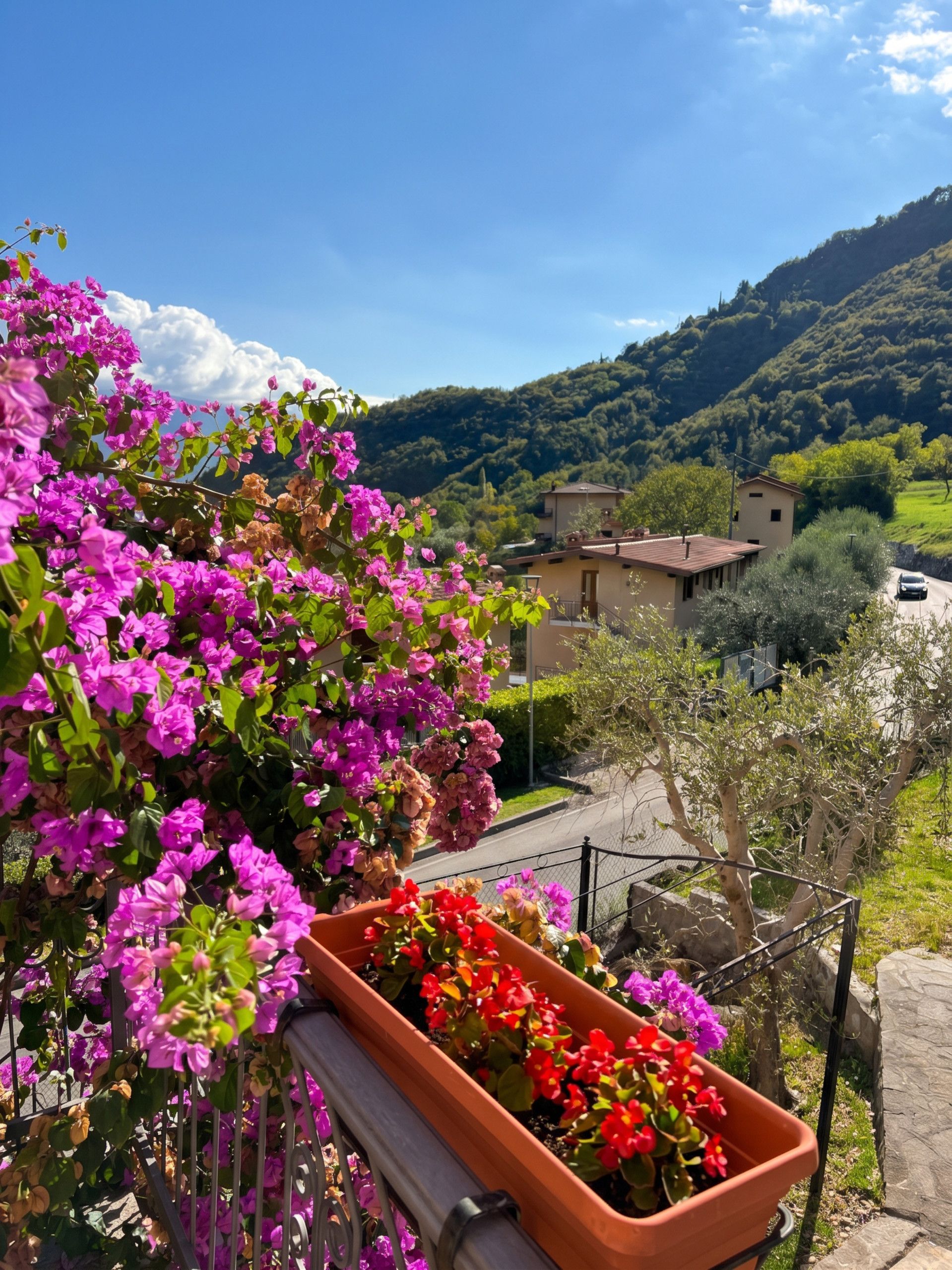 Un balcon orné de fleurs aux couleurs vives, une vue sur un paysage rural et un ciel dégagé.