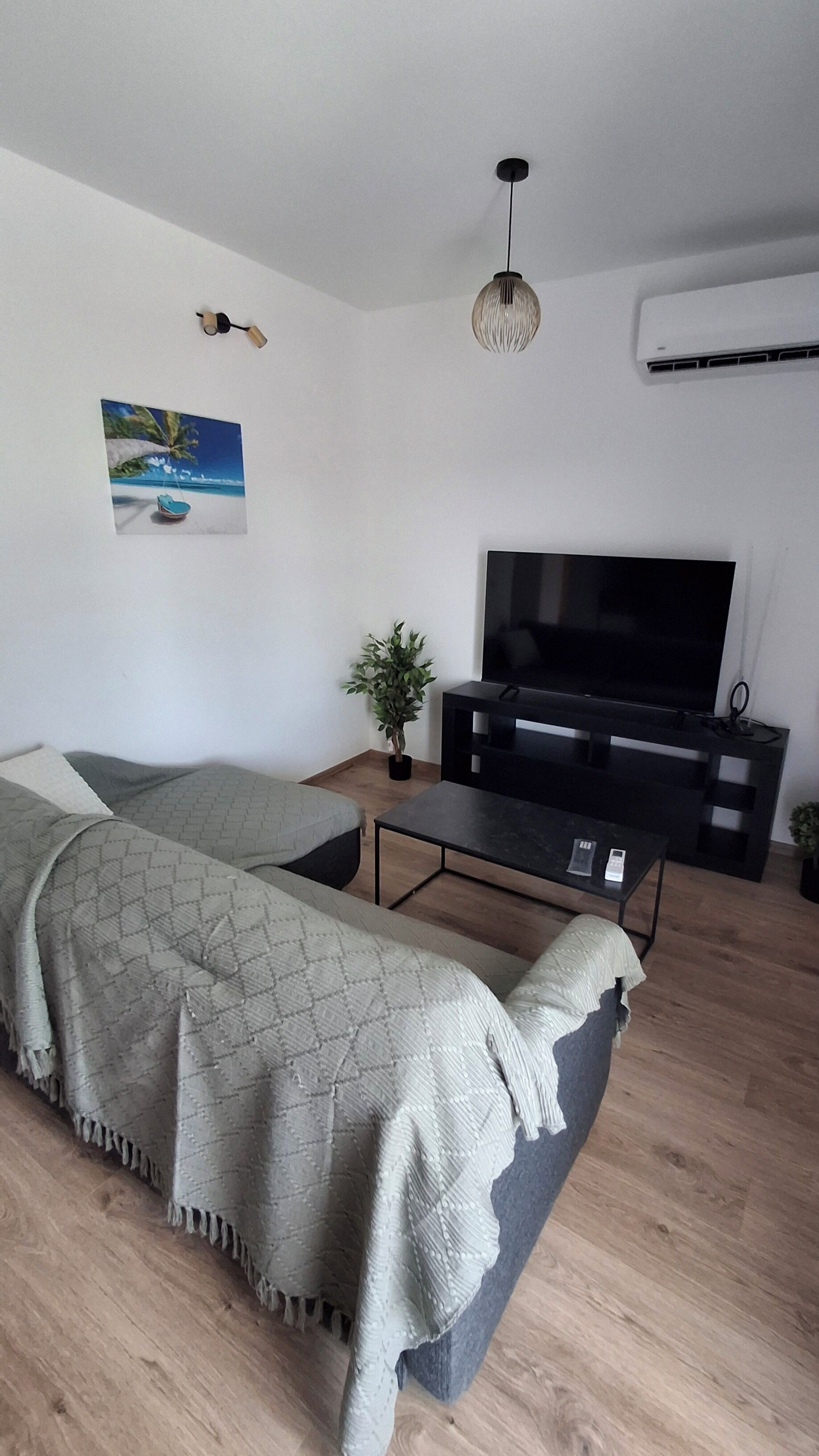 Un salon moderne avec un canapé, une table basse, un téléviseur et une plante.
