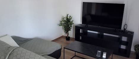 A modern living room with a sofa, a coffee table, a TV, and a plant.