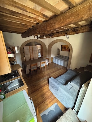 A cozy living area with a sofa, a dining table with chairs, and a kitchen area with a sink and stove.