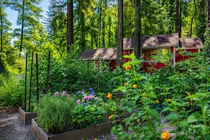 Un jardin avec différentes espèces de plantes et, au fond, un bâtiment rouge.