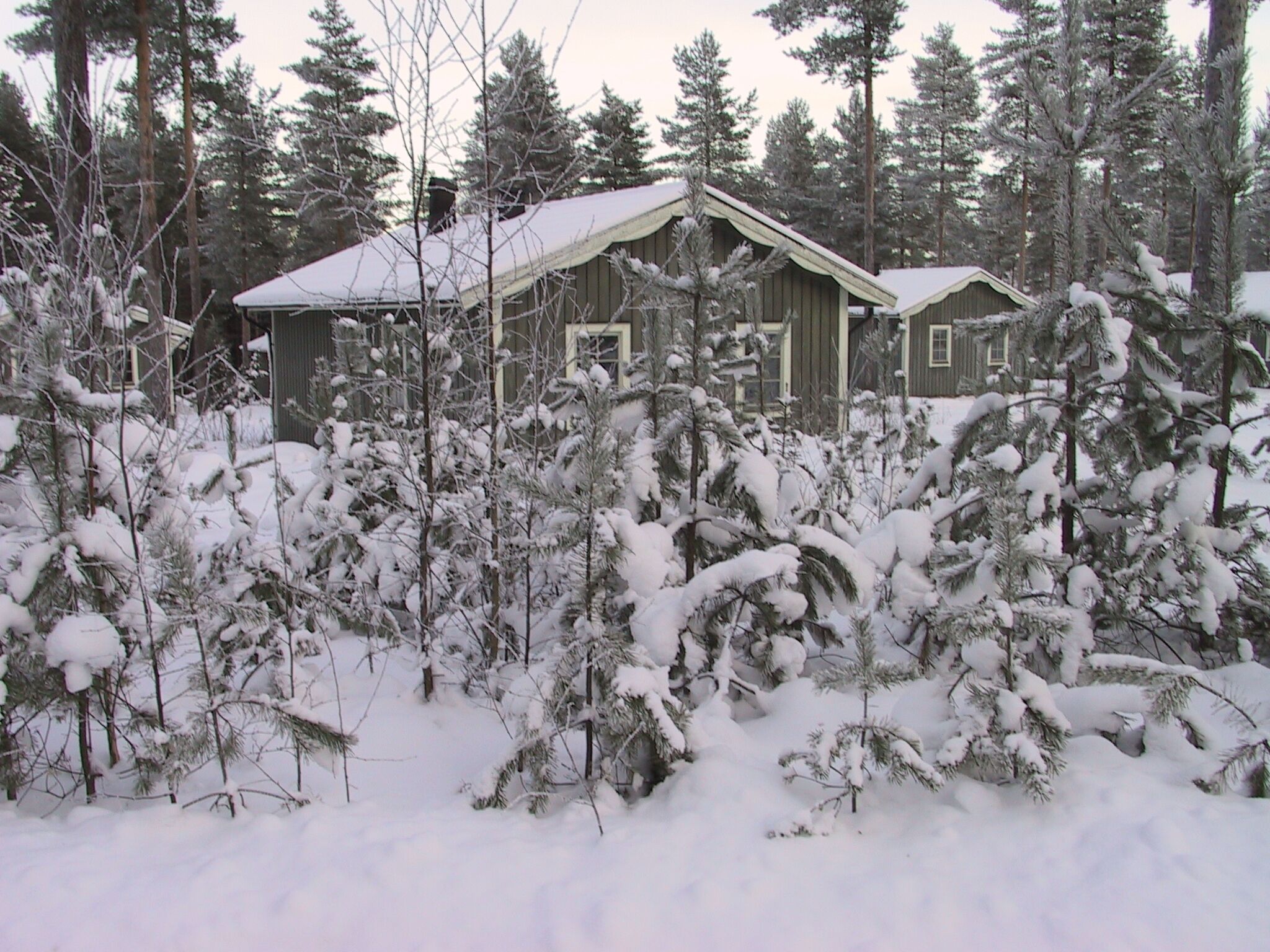 En stuga omgiven av snötäckta träd.