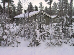 Una cabaña rodeada de árboles cubiertos de nieve.