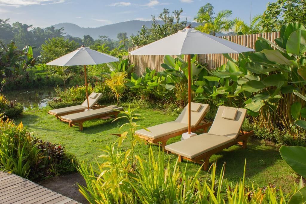 Un jardín con sillones de jardín y sombrillas, rodeado de abundante vegetación y una valla de madera.