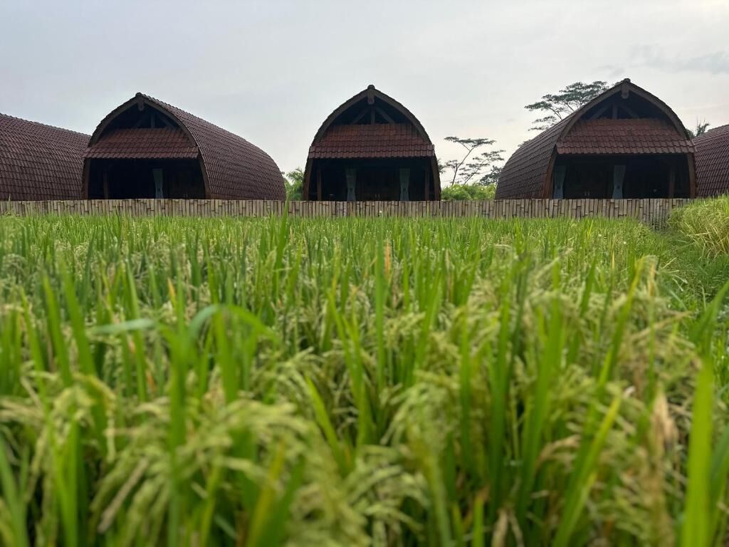 Een rij schuren met een houten omheining, gelegen in een veld vol hooggraas.