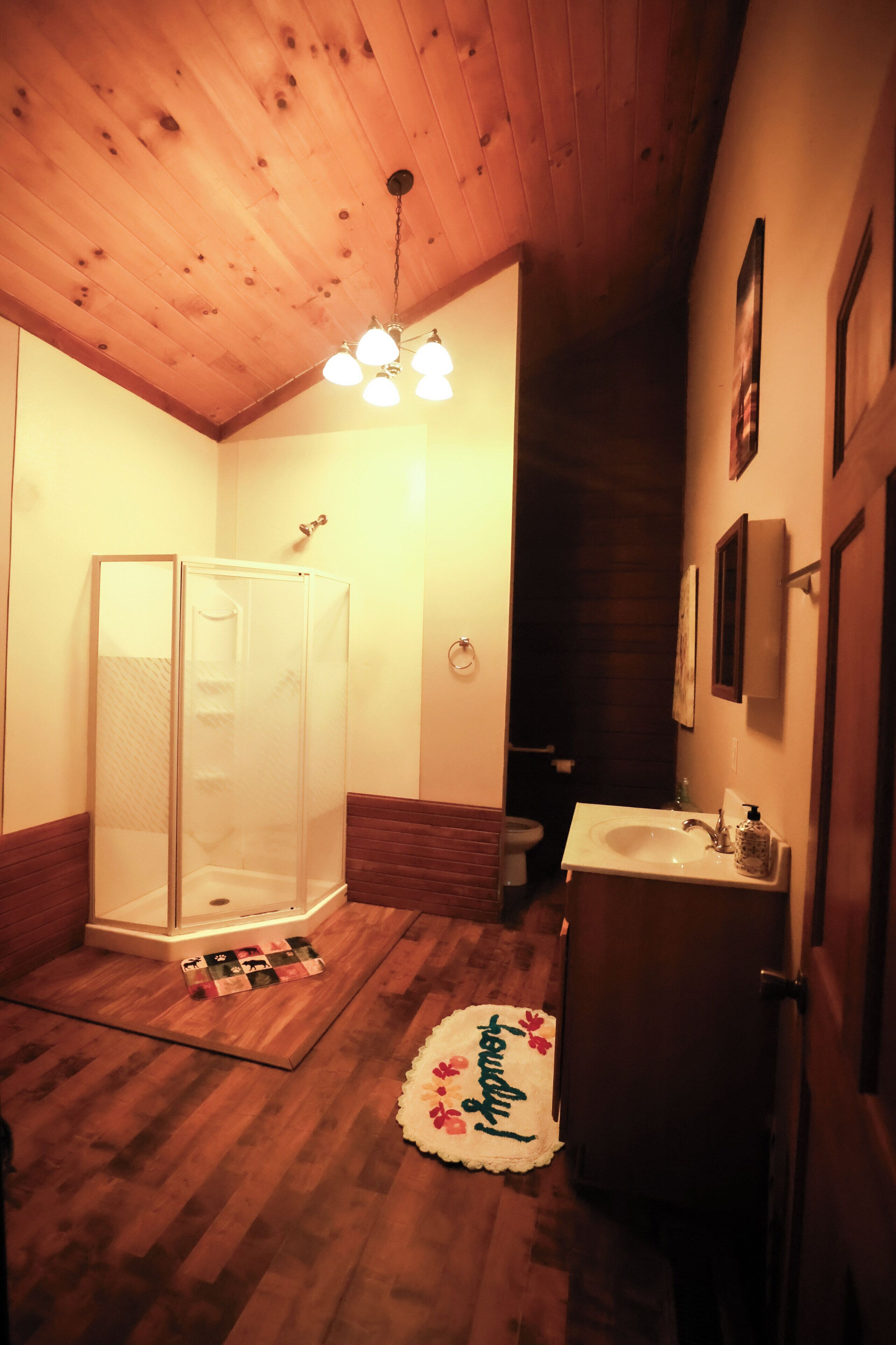 A bathroom with a wooden ceiling, a glass shower enclosure, a sink, and a toilet.