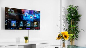 Ett modernt vardagsrum med en platt-TV som är monterad på väggen, ett soffbord i glas, en krukväxt och en vas med blommor.