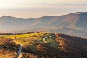 A winding road through a hilly landscape with a view of distant mountains and a valley. - The Rabbits of the Vosges! (SAULCY SUR MEURTHE)