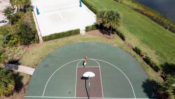 Un terrain de basket en plein air, équipé d’un panier, entouré de pelouse et de palmiers.