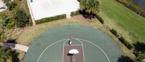 An outdoor basketball court with a net, surrounded by grass and palm trees.