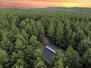 Ein modernes Haus, umgeben von dichtem Wald, mit blauem Himmel.