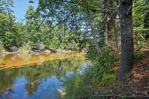 A natural landscape with a calm body of water surrounded by dense trees and foliage.