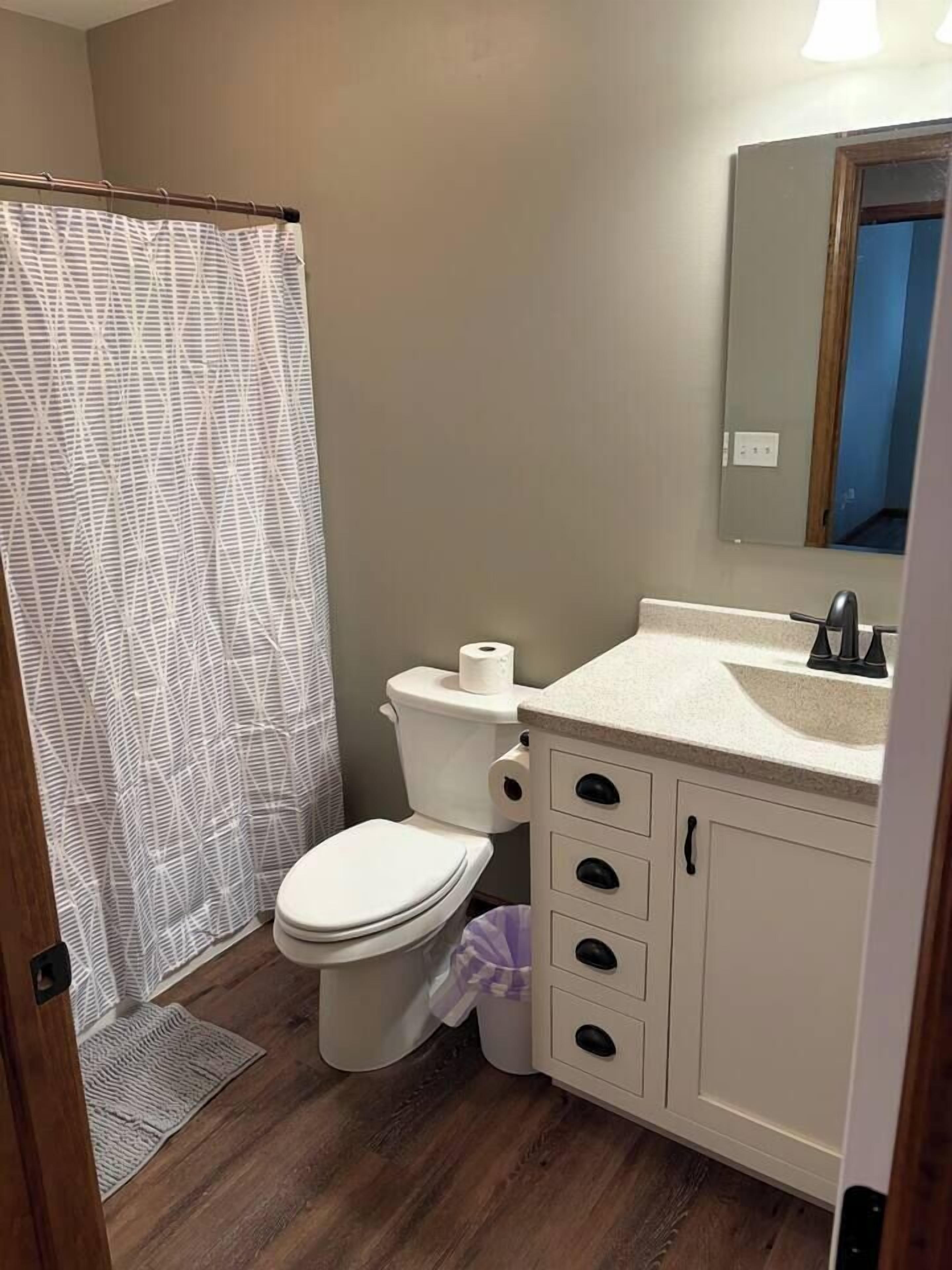A bathroom with a toilet, sink, and shower curtain.