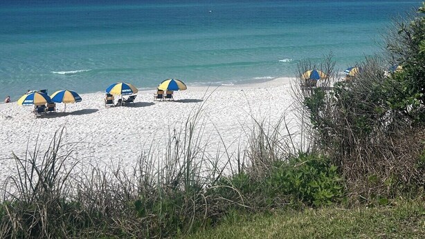 A beach with white sand and clear blue water. There are several beach umbrellas and lounge chairs. - 30A Style! Private Beach | Chair Service Included (Seagrove)