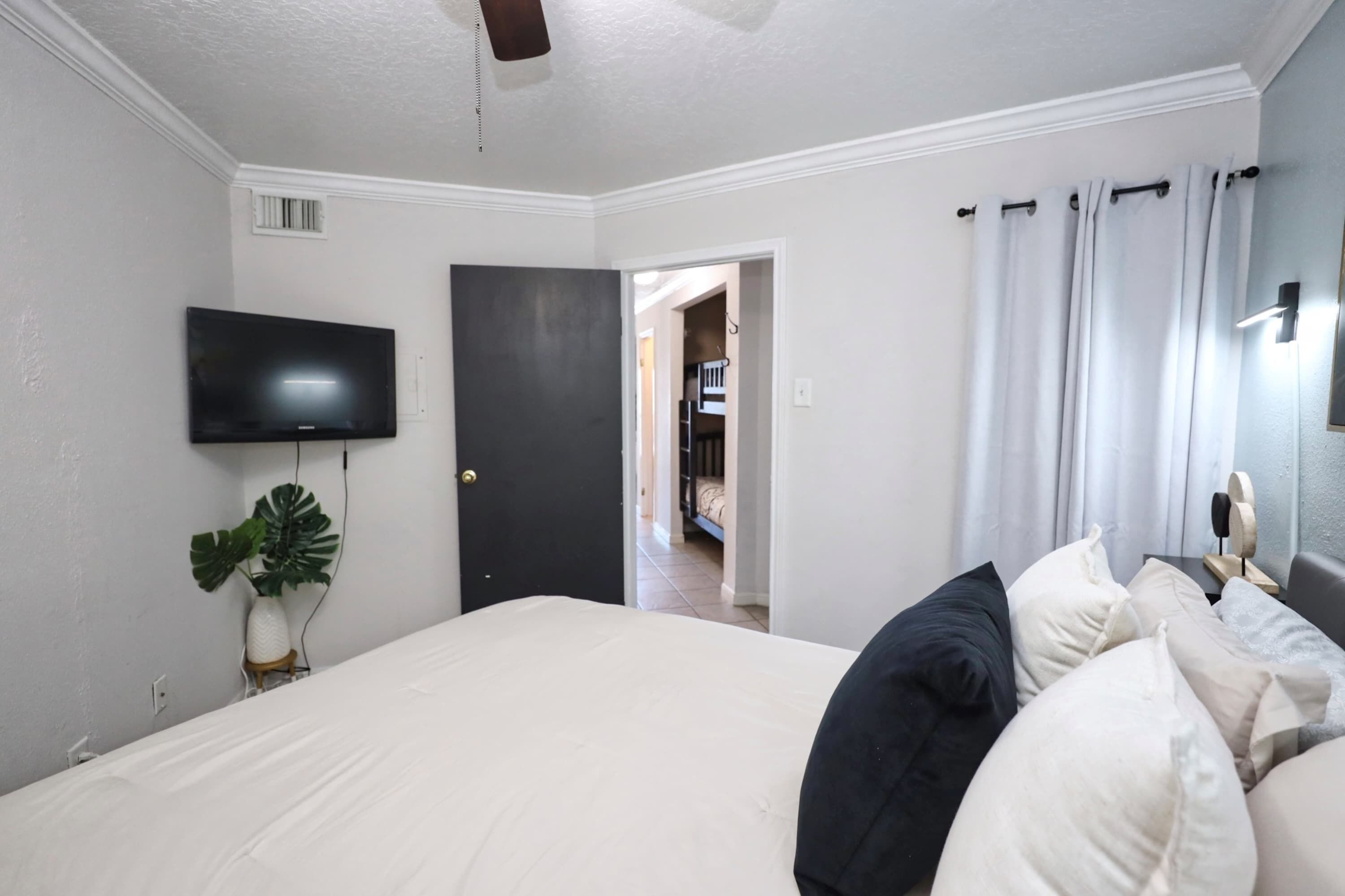 A hotel room with a bed, a TV, a plant, and a door leading to a hallway.