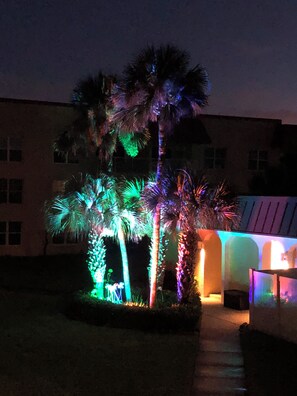 A building with a pathway leading to a landscaped area with palm trees. - Beautiful condo ocean view. (New Smyrna Beach)