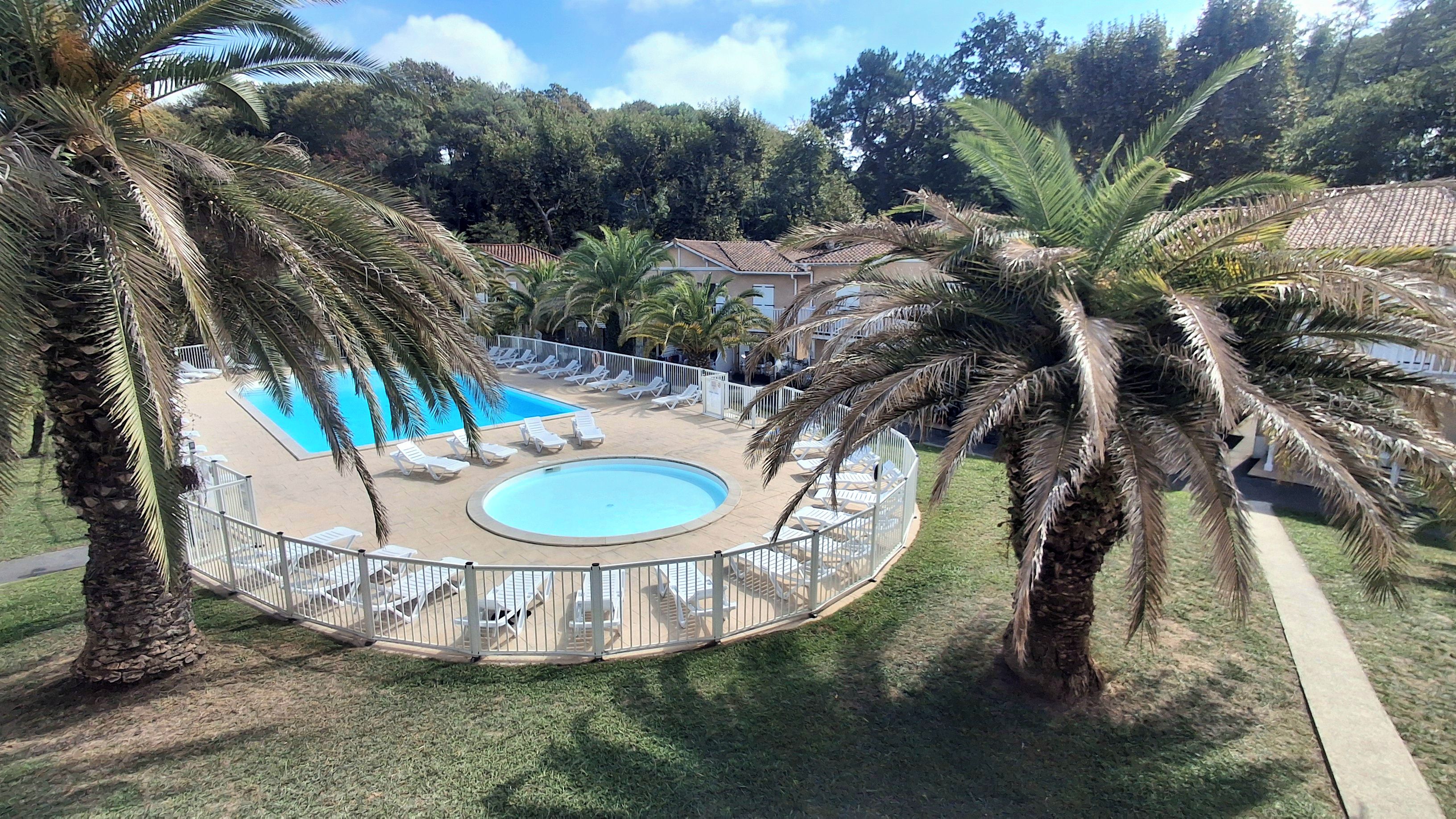 Una piscina circular con sillas de descanso, rodeada de palmeras y una valla.