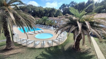 Una piscina circular con sillas de descanso, rodeada de palmeras y una valla.