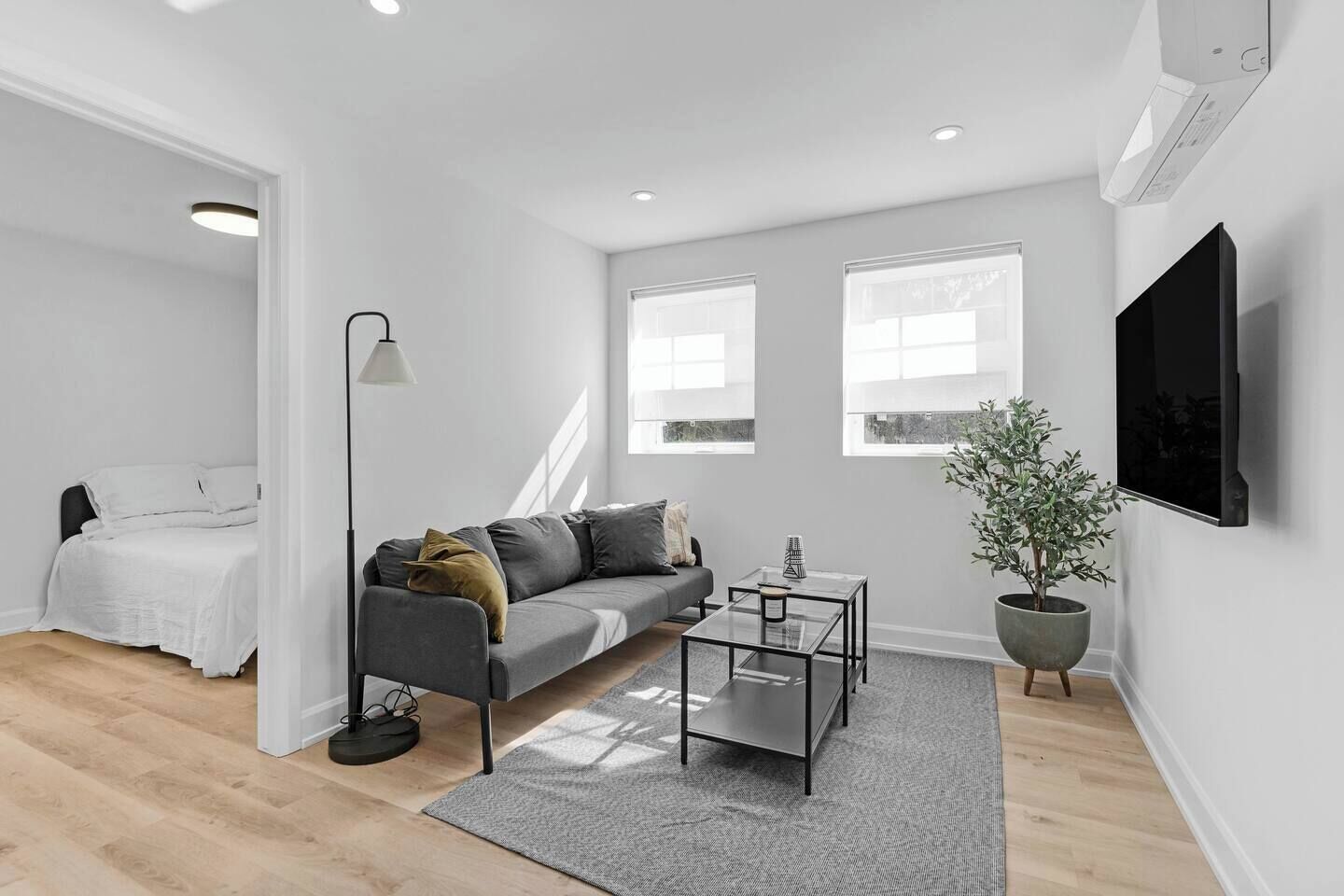 A modern living room with a sofa, coffee table, and a potted plant.