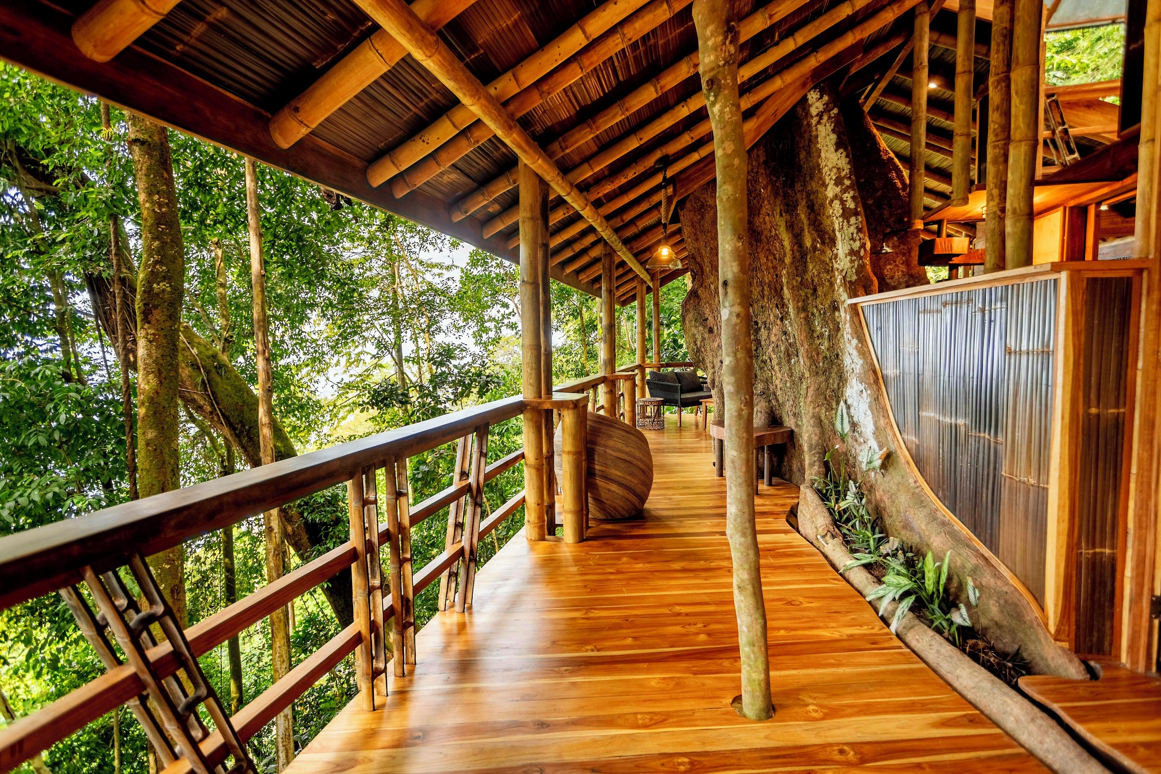 A wooden deck with a railing, surrounded by trees.