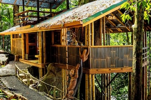 Exterior - Toucan's Nest Treehouse. Sleep in the canopy where rainforest meets the Ocean (Savegre de Aguirre, Puntarenas Province)