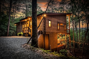 Unclassified image, 3 of 54, button - Fox & Fern |Speakeasy |Peleton |Stargazing Net |EV (Blue Ridge)