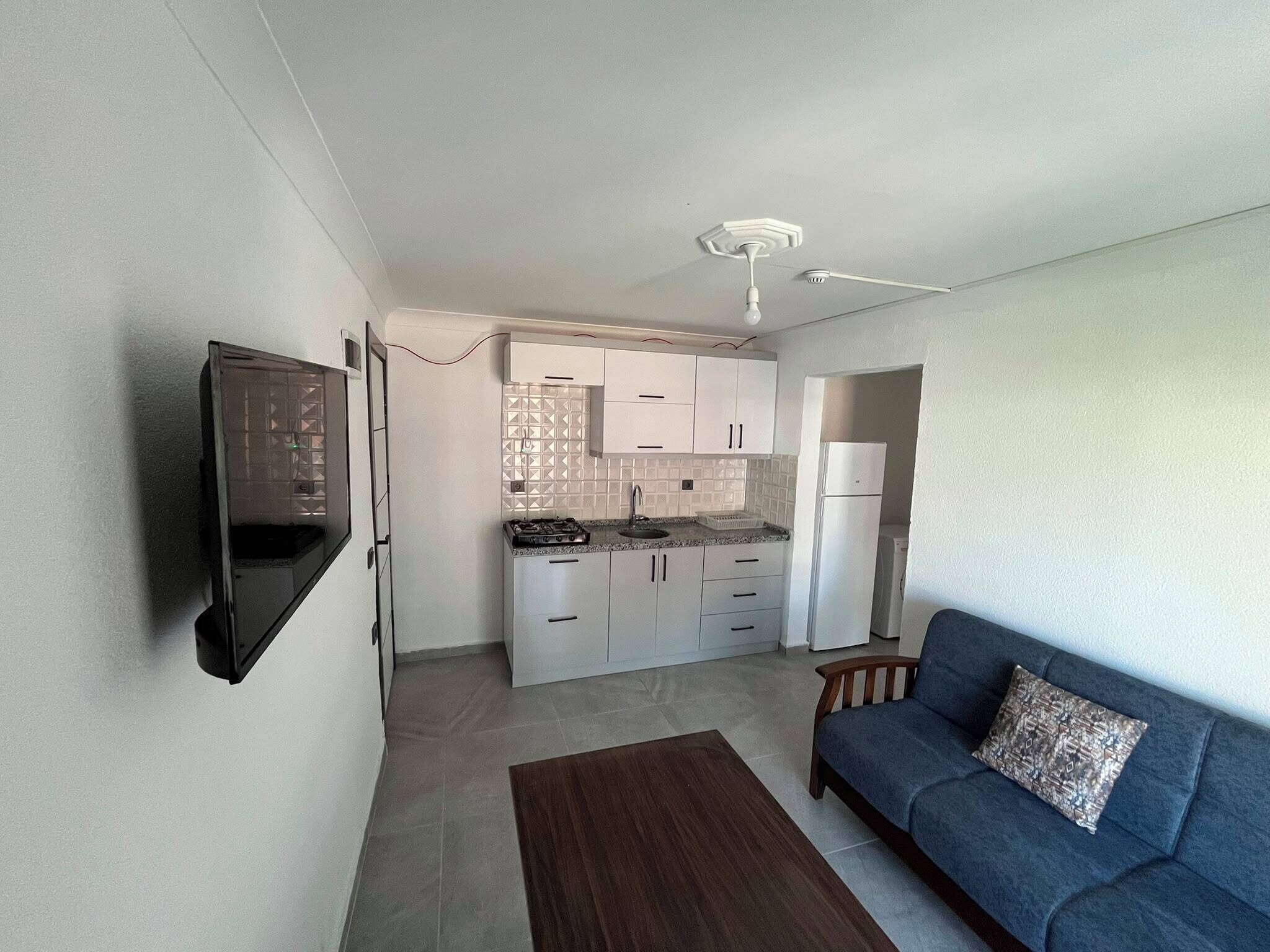 A compact living space with a kitchenette, a sofa, and a TV mounted on the wall.
