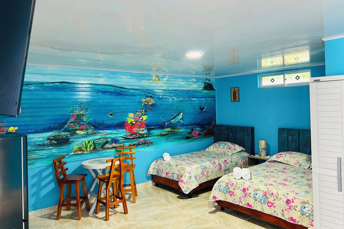 Premium bedding, down comforters, WiFi (free), individually decorated